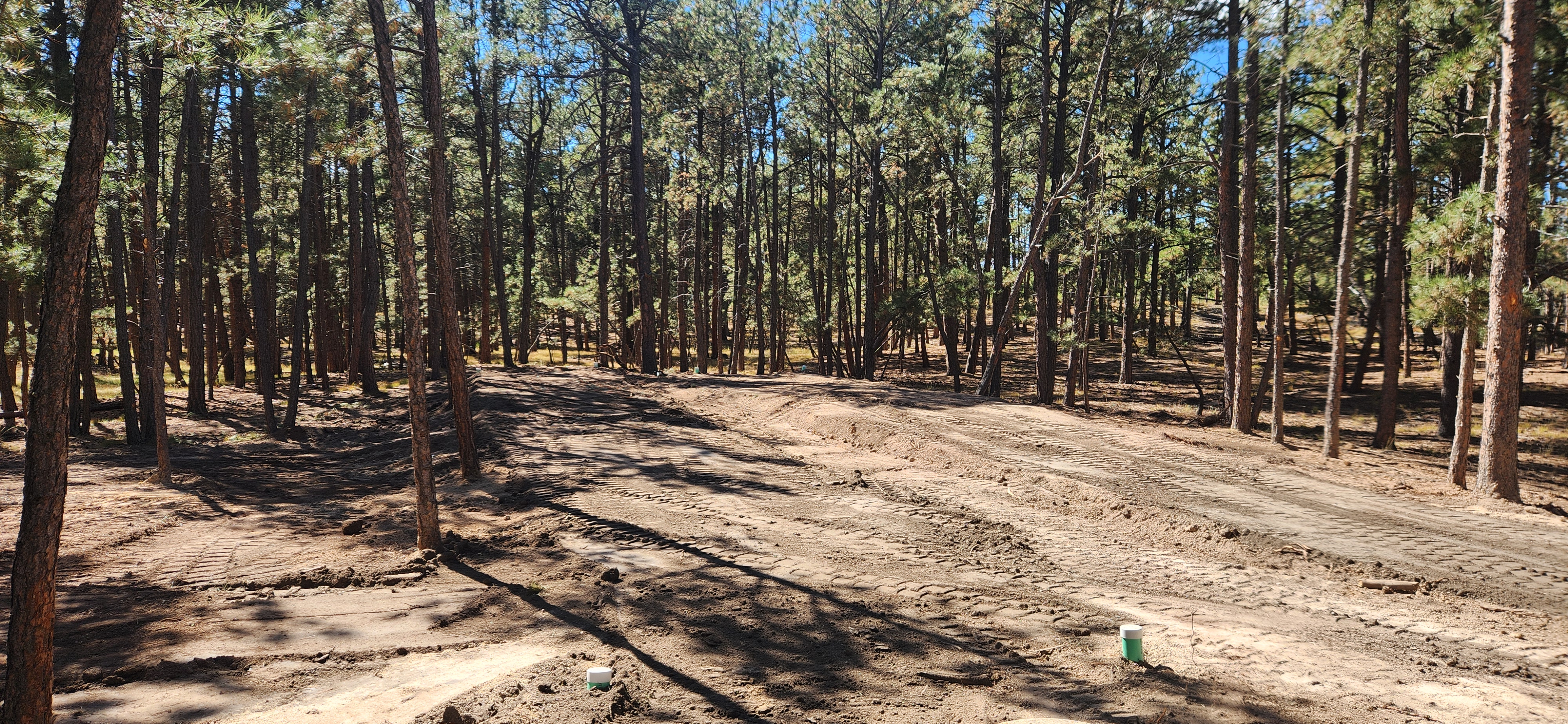 Land and brush clearing by Freedom Ranch Excavating in Peyton, Colorado