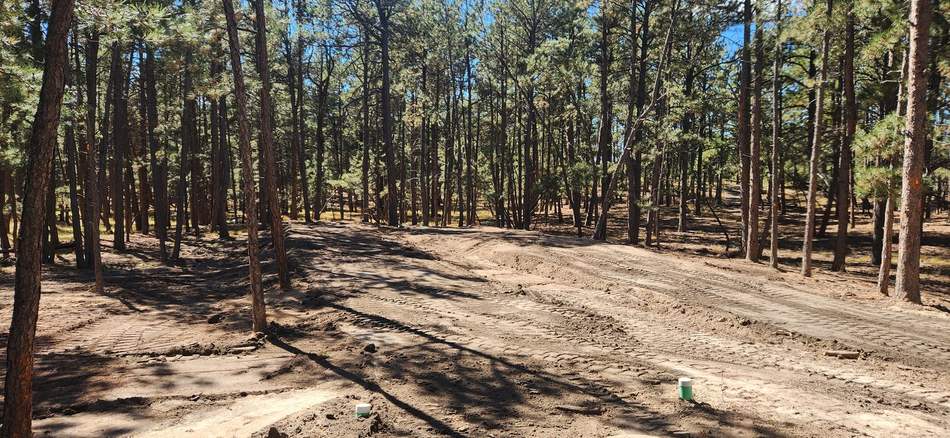 Land and brush clearing by Freedom Ranch Excavating in Peyton, Colorado
