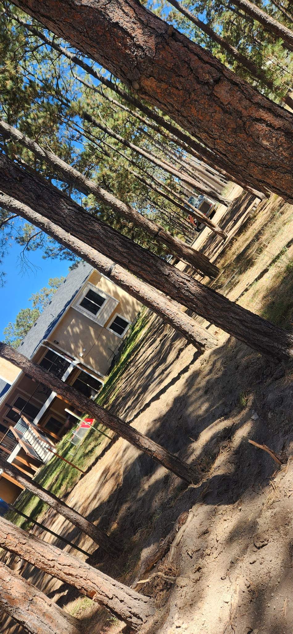 Utility line trenching and repair by Freedom Ranch Excavating in Peyton, Colorado