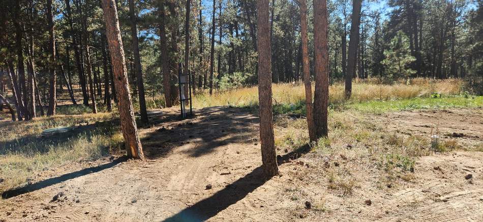 Land and brush clearing by Freedom Ranch Excavating in Peyton, Colorado