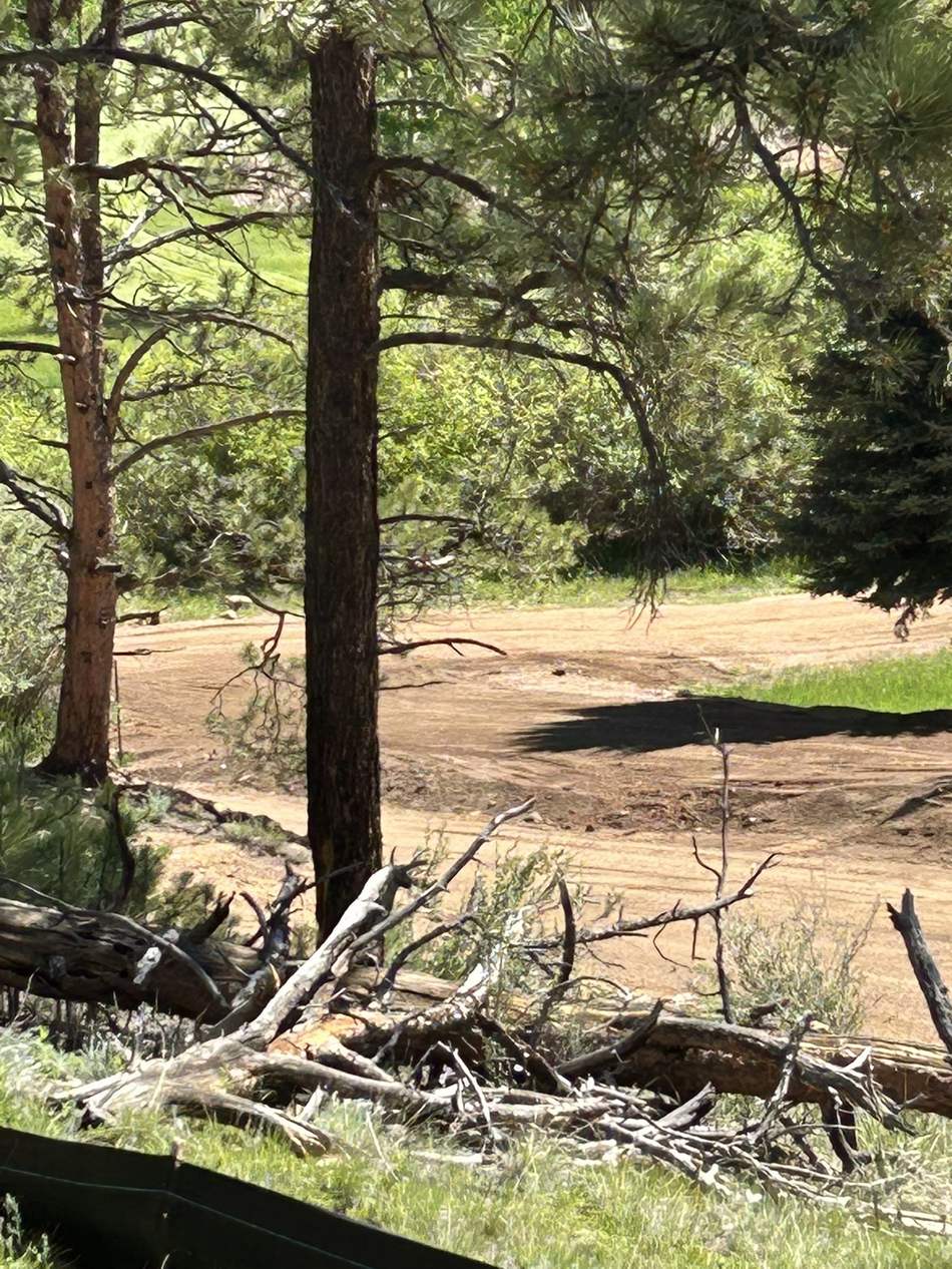 Land and brush clearing by Freedom Ranch Excavating in Peyton, Colorado