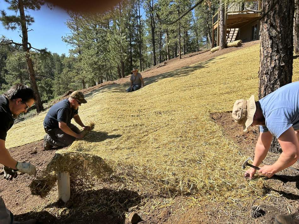 Land and brush clearing by Freedom Ranch Excavating in Peyton, Colorado