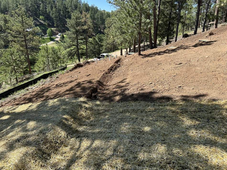 Land and brush clearing by Freedom Ranch Excavating in Peyton, Colorado